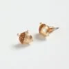 Gold Acorn Stud Earrings