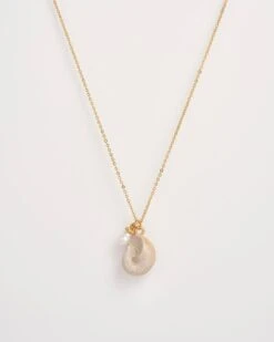 Sea Snail Shell And Pearl Worn Gold Short Necklace -Jewellery Store sea snail shell and pearl worn gold short necklace by fable england 41230748451060